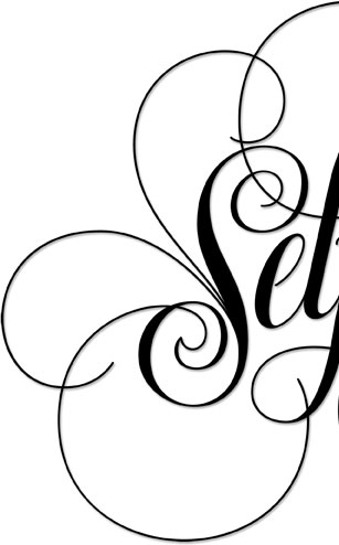  Selfie Luxuriant lettering for Zazzle and Redbubble | 26 Character | 26_Characters | hoffmann Angelic Design | lettering | calligraphy | spensarian | flourish | flourished | black | white | lusury | luxurious | t-shirt | graphic Tee | iphone ipad | 7 | Calligraphy